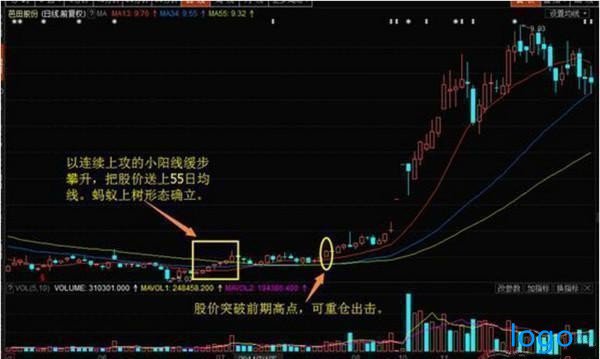 「宇通客车股票」蚂蚁上树选股预警公式 蚂蚁上树股票形态图解